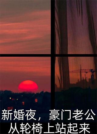 新婚夜，豪门老公从轮椅上站起来小说 新婚夜，豪门老公从轮椅上站起来免费阅读