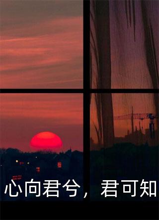 心向君兮，君可知爱吃巧克力小说（完整版）阅读