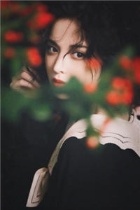 (全章节)一婚了了荀婳赵初小说-荀婳赵初在线阅读