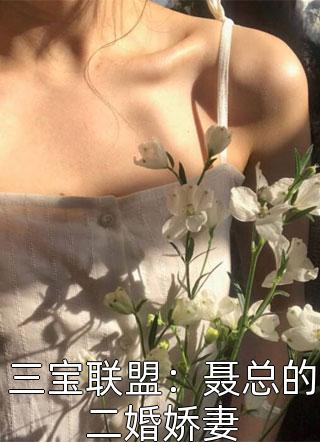 三宝联盟：聂总的二婚娇妻棠朵朵全本小说最新阅读
