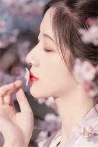 公主平妻纪琅青阳公主全本小说_公主平妻免费阅读