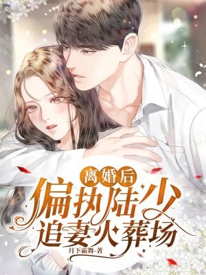 离婚后偏执陆少追妻火葬场月下霸舞完本在线小说免费阅读