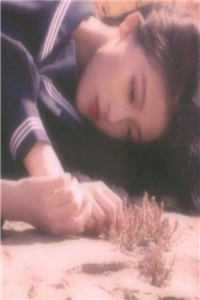 容念婉高湛小说(容念婉高湛)小说推荐_容念婉高湛小说全章节在线阅读