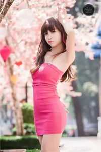 极品女神全文免费阅读(苏晴陆小伟)完结版阅读