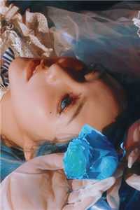 林安安陆云昊摄政王免费阅读-摄政王(林安安陆云昊)最新章节全文阅读