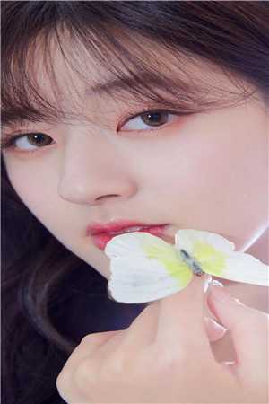 《医生何求》全文免费阅读_(沈逸尘简黎心)小说大结局阅读