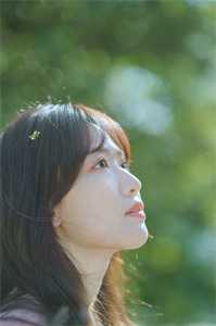 叶星辞陆璟淮主角的抖音小说全文_叶星辞陆璟淮免费阅读