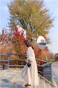 洛鸢贺禹森(洛鸢贺禹森)免费小说_洛鸢贺禹森章节在线阅读