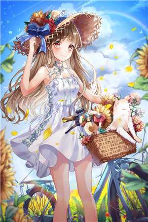 《离婚后六个哥哥团宠我》小说_（季淮安林婳）在线阅读