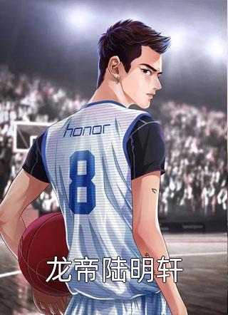 龙帝陆明轩全本小说（龙帝陆明轩）全文阅读