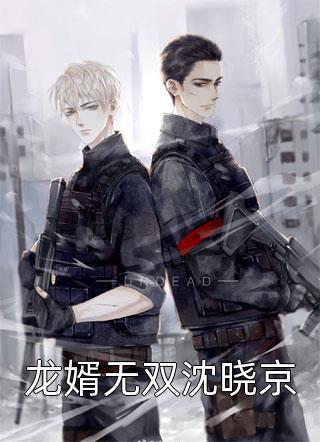 (全章节)龙婿无双沈晓京-龙婿无双沈晓京无色界定在线阅读