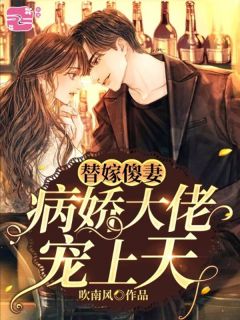 替嫁傻妻：病娇大佬宠上天吹南风大结局小说全章节阅读