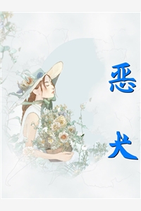 山海映星辰的小说恶犬宋林拾容湛全文阅读