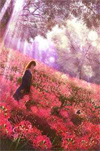 江山雪(苏亦栀秦思辰)全文免费阅读-江山雪小说最新章节