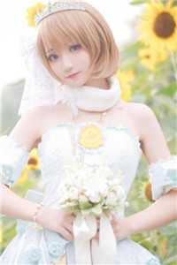 《老板的狂浪》江笙杨槐最新章节(老板的狂浪)全文阅读