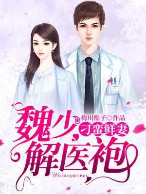 刁蛮鲜妻魏少解医袍林欢魏泽完结版全章节阅读