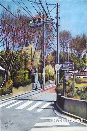 水火不生活(周晴张龙)小说_水火不生活全文完结版免费阅读