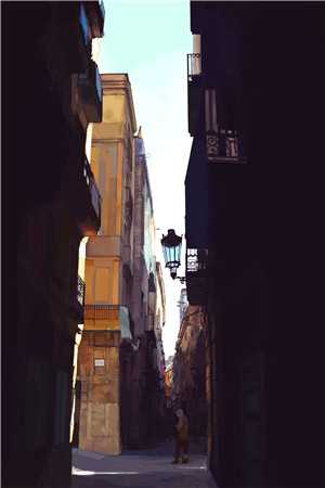 《金钗笑》人气小说_宋妧沈席玉全文阅读