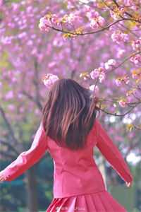 陈年旧秦全本小说-(陈烟秦旭)最新章节免费阅读