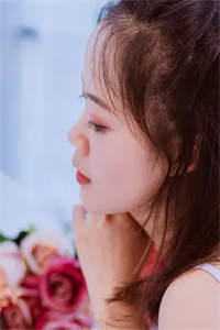 我和小贺的爱情最新章节小说全文阅读