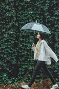 装什么装(江岁宁宋祁川)小说-装什么装免费阅读