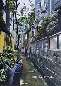 《一念长久空余恨》顾婉云陆衍爆火小说免费阅读