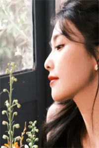 《篮球场的校花》顾延陆烟小说全文免费阅读