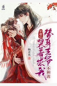 一晌贪欢的小说穿越后替身王爷哭着求我不和离叶知舟宁渡全文阅读