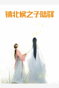 镇北候之子陆驿程简完本在线小说免费阅读