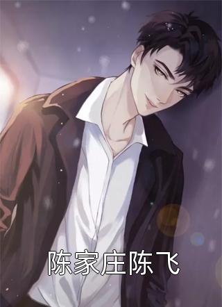 陈家庄陈飞小说全文海月明免费阅读