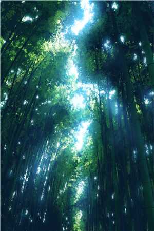 绝境生花枫泽小说 绝境生花全集无弹窗阅读