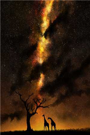 《不见晚秋》最新章节-小说(薛婉婉薛芳菲)目录阅读