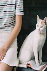 白冷雁沈峰小说(白冷雁沈峰)免费小说-白冷雁沈峰全文阅读