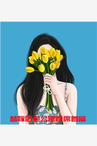 替嫁后老公是首席首富启澜小说全文免费阅读