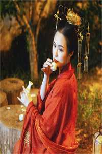 沈席玉宋妧小说全文_（藩王是马夫沈席玉）全本免费小说章节目录阅读