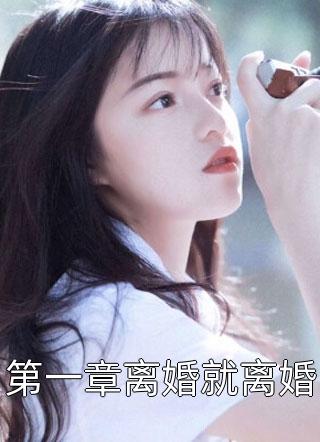 不经语写的小说第一章离婚就离婚最新阅读