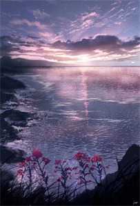 6236265叶初晨陆寻全文阅读_叶初晨陆寻免费阅读"