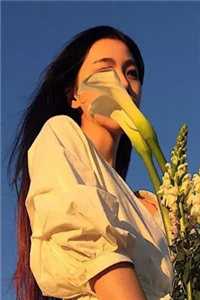 《江漾许清》精彩小说免费阅读_（江漾许清）小说全文目录阅读