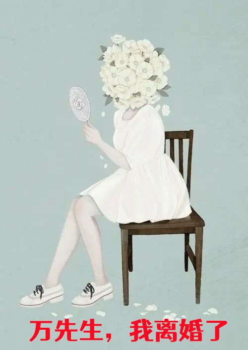 栀栀不倦的小说万先生我离婚了高胜美万轩华全文阅读