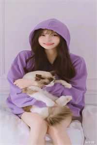 我不爱你了(洛鸢贺禹森)全文免费阅读_我不爱你了最新章节列表