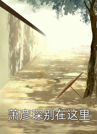 萧彦琛别在这里风闹小说免费阅读