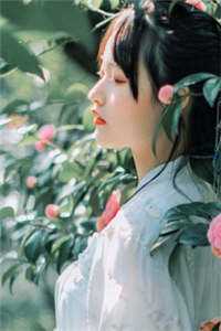 《时柚陆夜擎》完结小说_时柚陆夜擎最新章节阅读