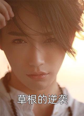 《草根的逆袭》完结小说(全文在线阅读)