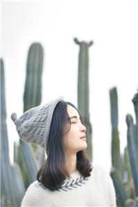 驸马爷，我们和离吧(姜意南顾砚钦)小说_姜意南顾砚钦章节在线阅读