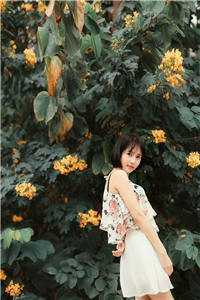 《盛清歌风云尘》小说全文阅读_盛清歌风云尘全本小说阅读