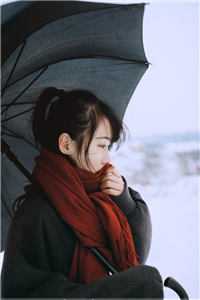 末日自救手册(晴晴)全文小说-末日自救手册全文免费阅读