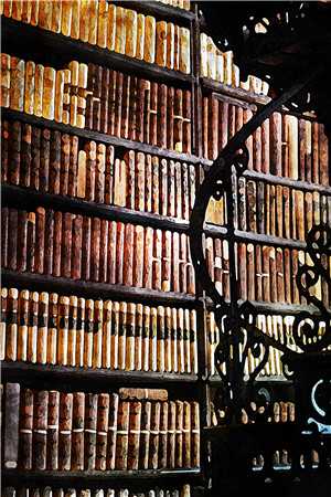 《陆宴知沈昭玉》全本小说_陆宴知沈昭玉完整版阅读