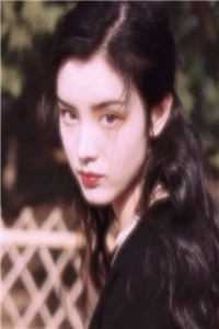 姜岁岁陆南承小说-姜岁岁陆南承免费阅读全文