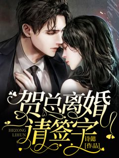 贺总离婚请签字全本小说贺总离婚请签字免费章节阅读