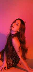 《陆泽渊沐浅月》全章节小说资源在线阅读大结局